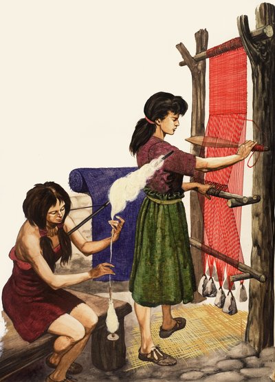 Weaving cotton by Peter Jackson